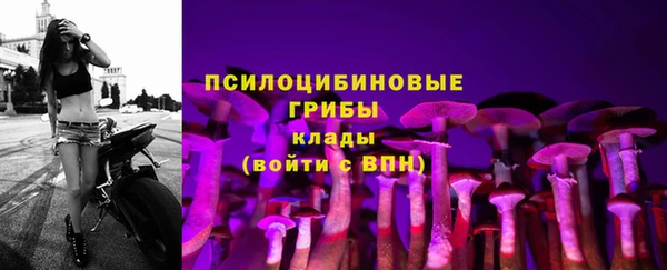 гашиш Богданович